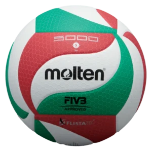 Ballon de volleyball Molten V5M5000