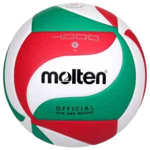 Ballon de volleyball Molten V5M4000
